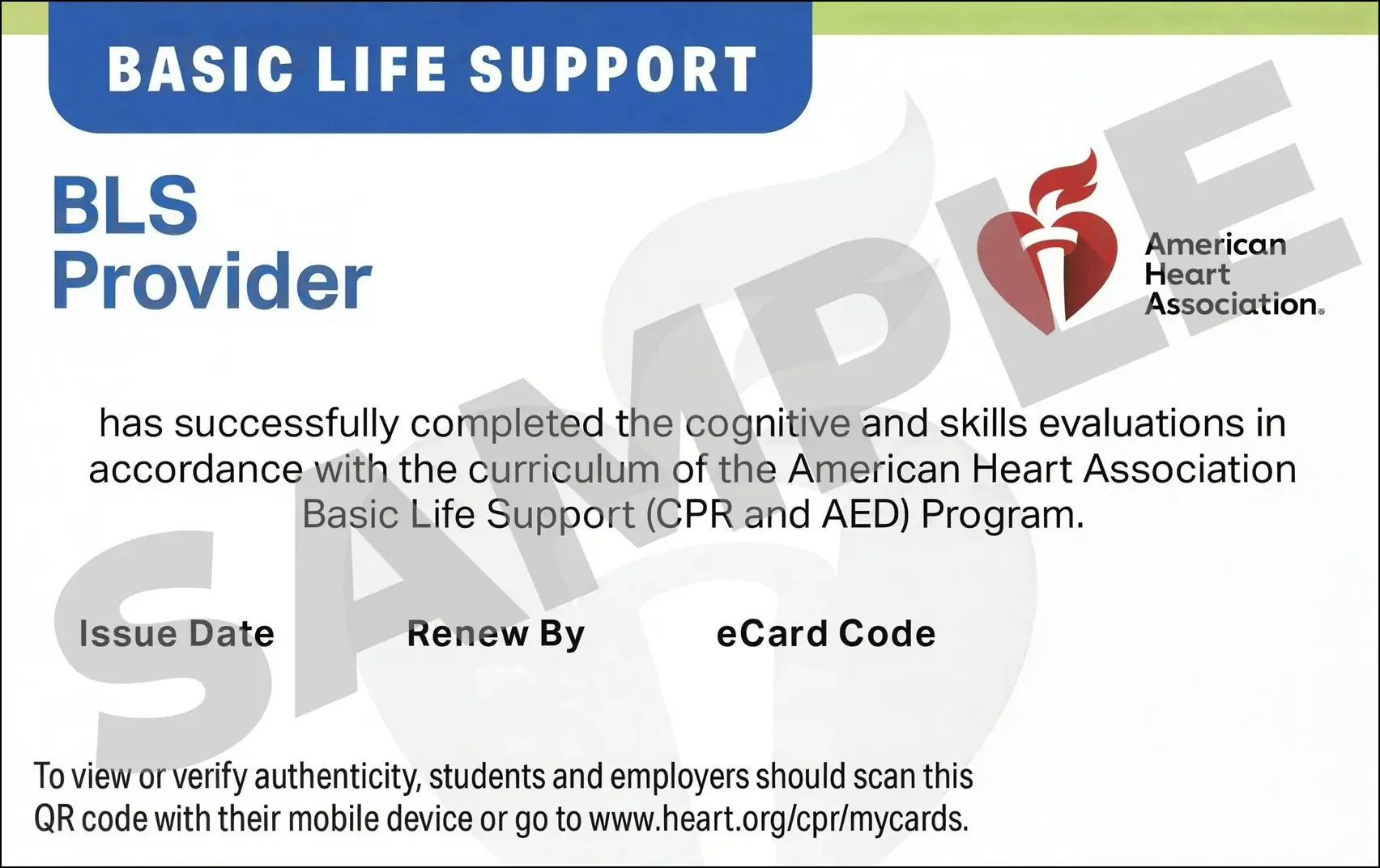 Sample American Heart Association AHA BLS CPR Card Certification from CPR Certification Fresno